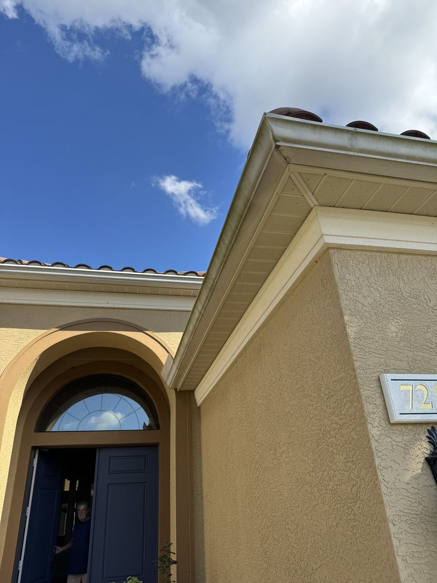 Soffit, fascia and gutter line dirty before cleaning