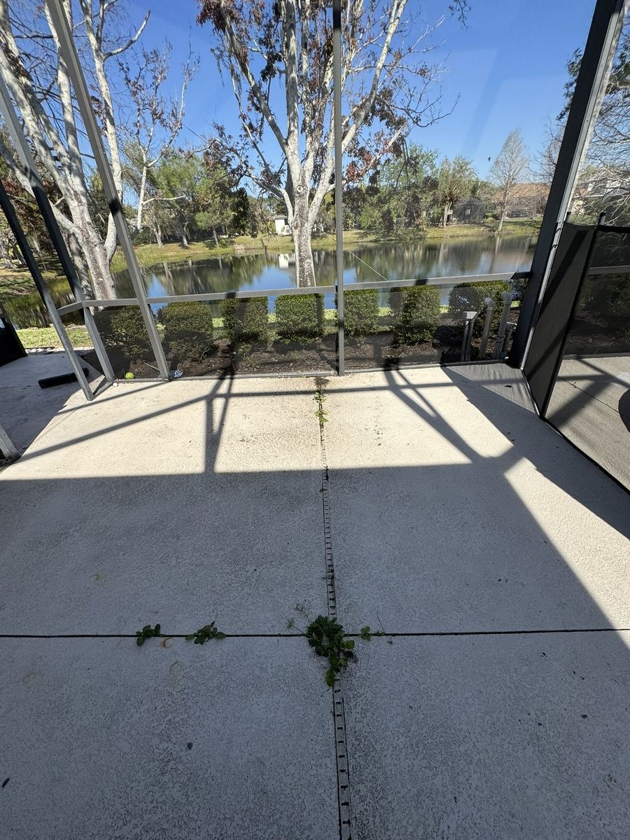 Pool cage deck with weeds and buildup before cleaning